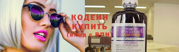 соль ск Ладушкин
