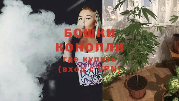 спиды Майский