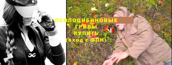 a pvp Магас