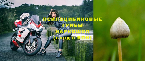мдпв Лагань