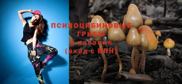 соль ск Ладушкин