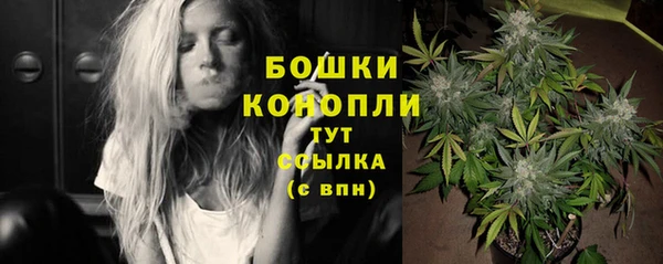 a pvp Магас