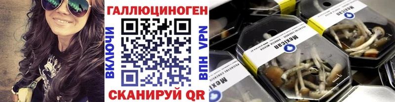 нарко площадка состав  Узловая  Псилоцибиновые грибы MAGIC MUSHROOMS  дарнет шоп  kraken рабочий сайт 